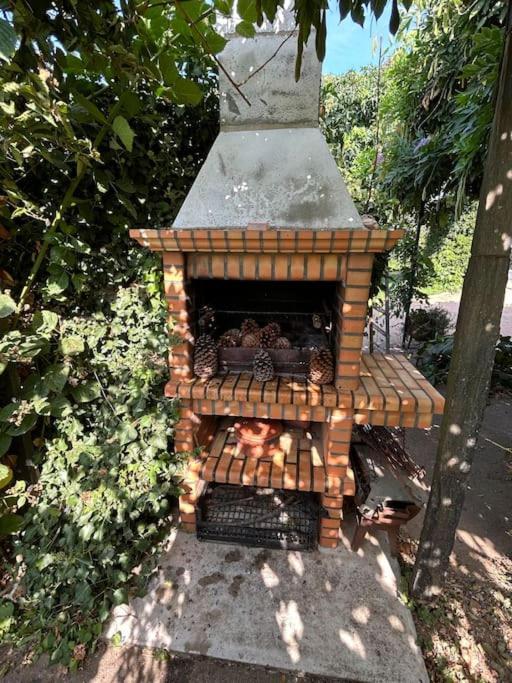 Vila A Tintureira São Martinho de Antas Exteriér fotografie