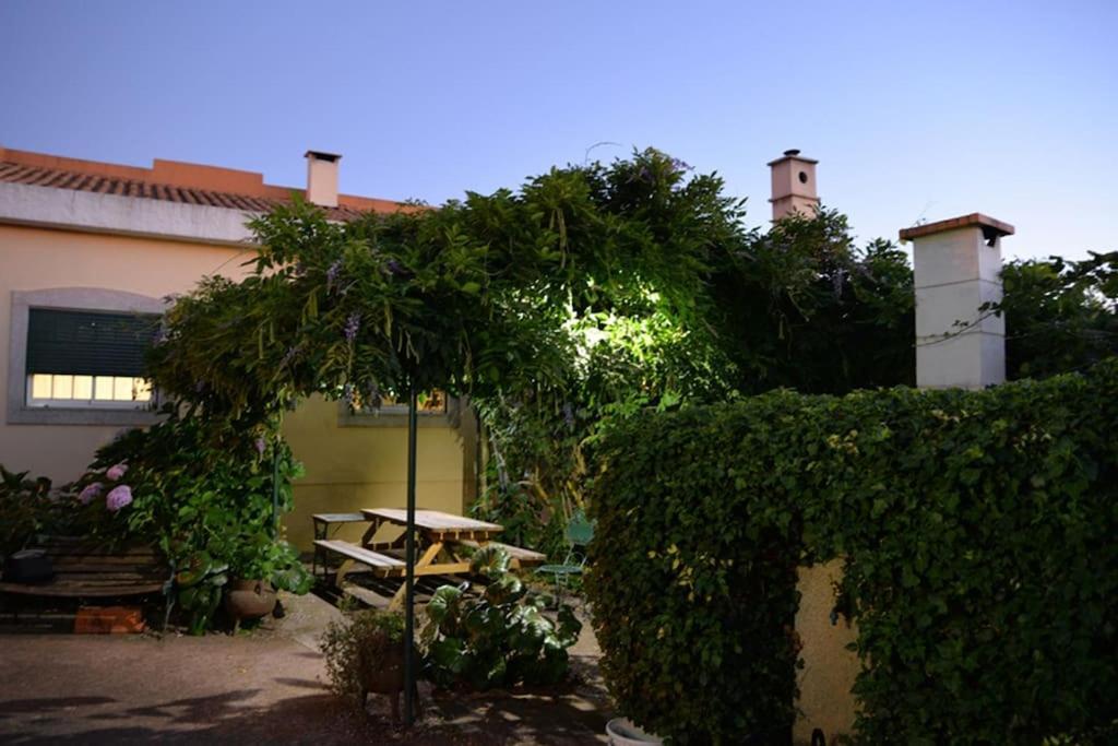 Vila A Tintureira São Martinho de Antas Exteriér fotografie