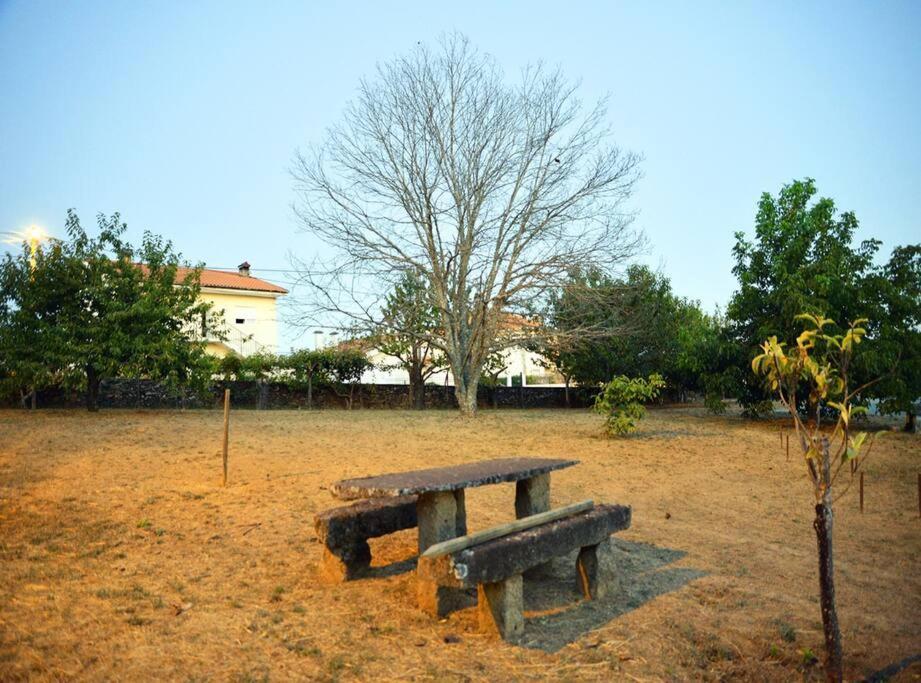 Vila A Tintureira São Martinho de Antas Exteriér fotografie