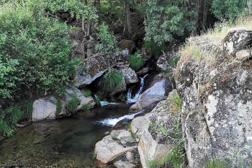 Vila A Tintureira São Martinho de Antas Exteriér fotografie
